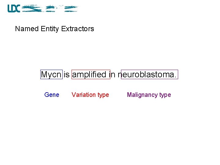 Named Entity Extractors Mycn is amplified in neuroblastoma. Gene Variation type Malignancy type 