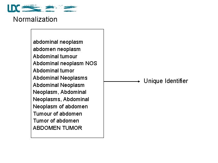 Normalization abdominal neoplasm abdomen neoplasm Abdominal tumour Abdominal neoplasm NOS Abdominal tumor Abdominal Neoplasms