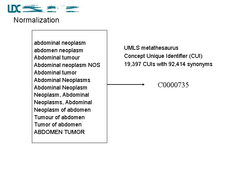 Normalization abdominal neoplasm abdomen neoplasm Abdominal tumour Abdominal neoplasm NOS Abdominal tumor Abdominal Neoplasms