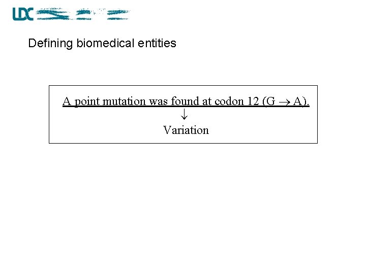 Defining biomedical entities A point mutation was found at codon 12 (G A). Variation