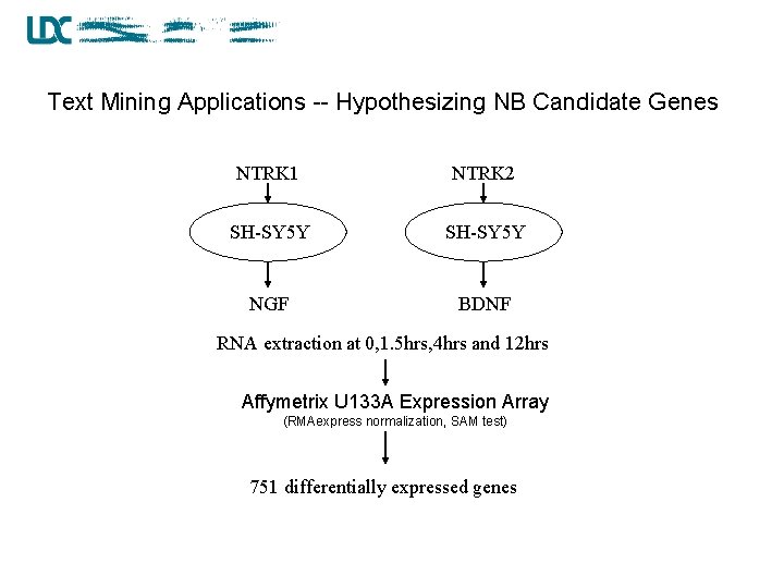 Text Mining Applications -- Hypothesizing NB Candidate Genes NTRK 1 NTRK 2 SH-SY 5
