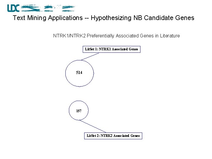 Text Mining Applications -- Hypothesizing NB Candidate Genes NTRK 1/NTRK 2 Preferentially Associated Genes