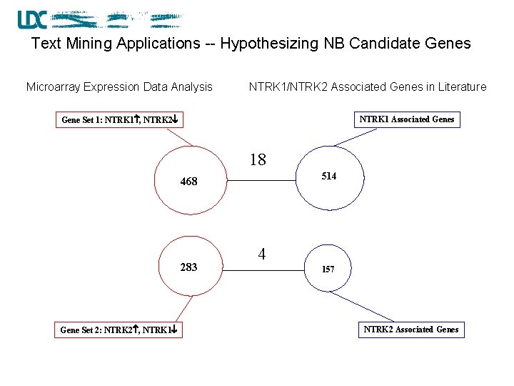 Text Mining Applications -- Hypothesizing NB Candidate Genes Microarray Expression Data Analysis NTRK 1/NTRK
