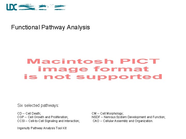 Functional Pathway Analysis Six selected pathways: CD -- Cell Death; CGP -- Cell Growth