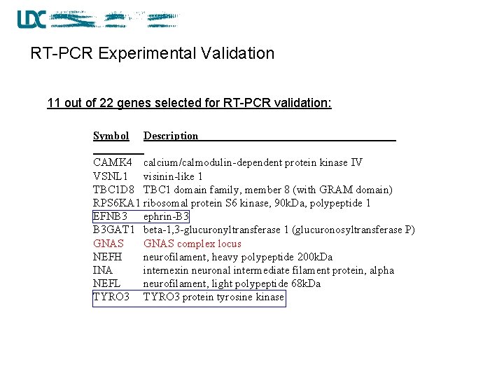 RT-PCR Experimental Validation 11 out of 22 genes selected for RT-PCR validation: Symbol Description