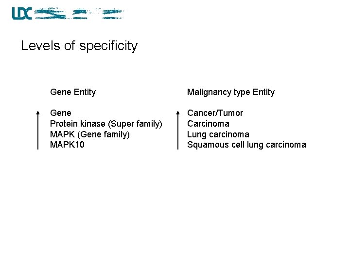 Levels of specificity Gene Entity Malignancy type Entity Gene Protein kinase (Super family) MAPK