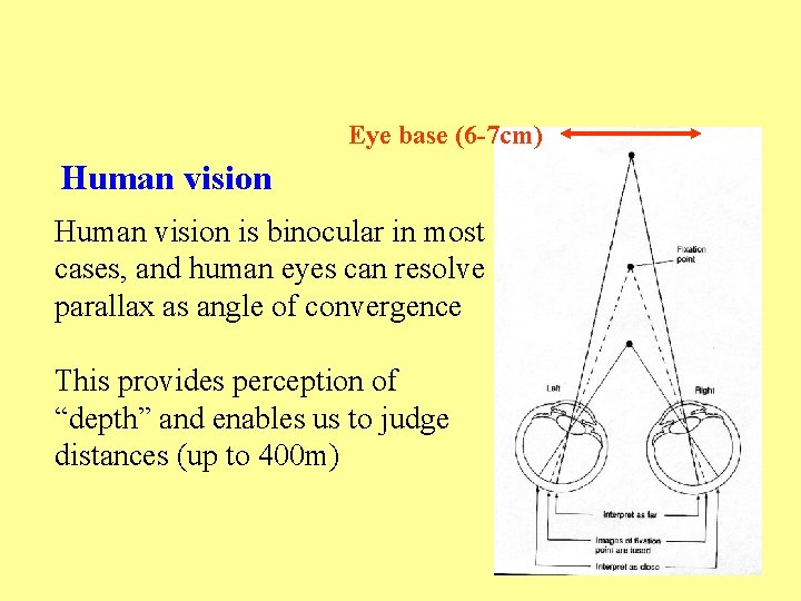 Eye base (6 -7 cm) Human vision is binocular in most cases, and human
