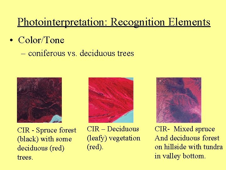 Photointerpretation: Recognition Elements • Color/Tone – coniferous vs. deciduous trees CIR - Spruce forest