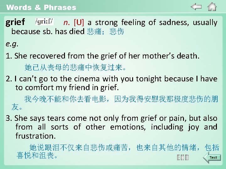 Words & Phrases grief n. [U] a strong feeling of sadness, usually because sb.