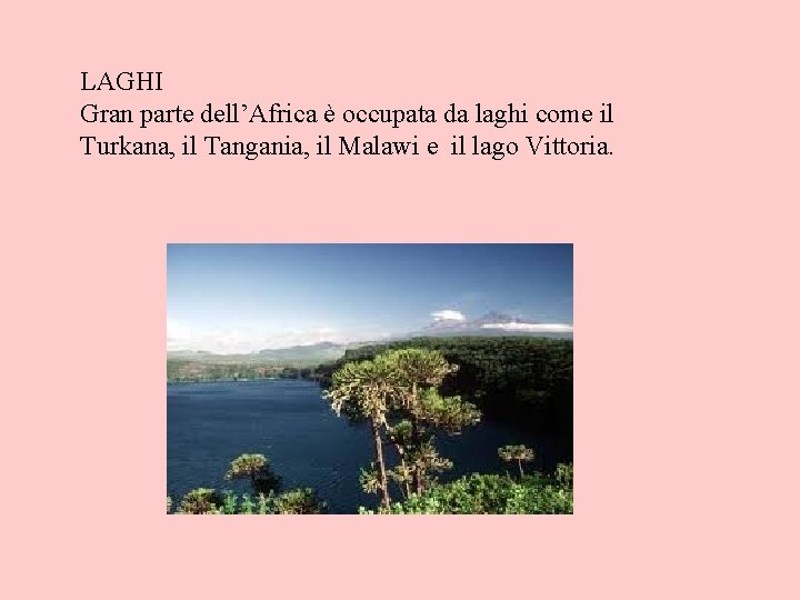 LAGHI Gran parte dell’Africa è occupata da laghi come il Turkana, il Tangania, il