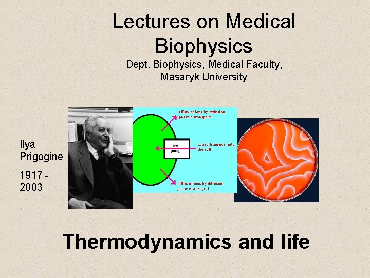 Lectures on Medical Biophysics Dept. Biophysics, Medical Faculty, Masaryk University Ilya Prigogine 1917 2003