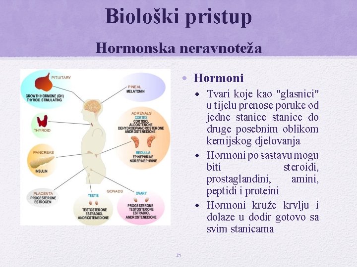 Biološki pristup Hormonska neravnoteža • Hormoni • Tvari koje kao "glasnici" u tijelu prenose