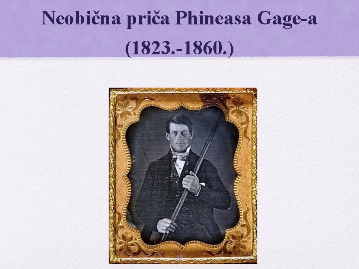 Neobična priča Phineasa Gage-a (1823. -1860. ) 28 