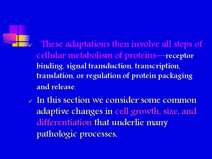 ü These adaptations then involve all steps of cellular metabolism of proteins—receptor binding, signal ü These adaptations then involve all steps of cellular metabolism of proteins—receptor binding, signal