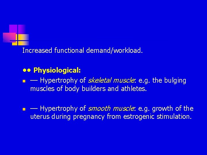 Increased functional demand/workload. • • Physiological: n –– Hypertrophy of skeletal muscle: e. g. Increased functional demand/workload. • • Physiological: n –– Hypertrophy of skeletal muscle: e. g.