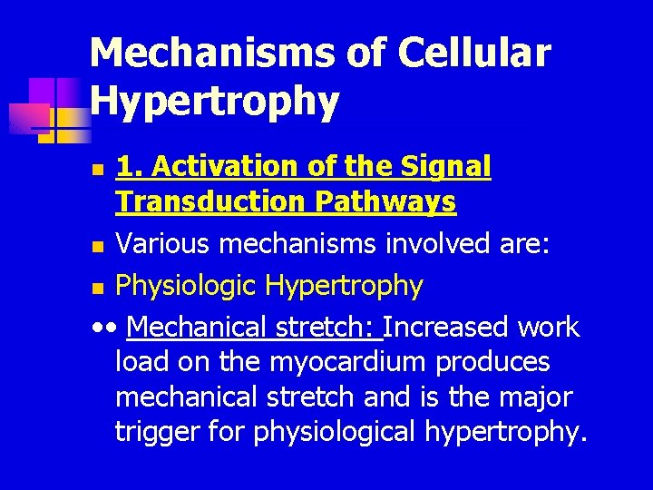 Mechanisms of Cellular Hypertrophy 1. Activation of the Signal Transduction Pathways n Various mechanisms Mechanisms of Cellular Hypertrophy 1. Activation of the Signal Transduction Pathways n Various mechanisms