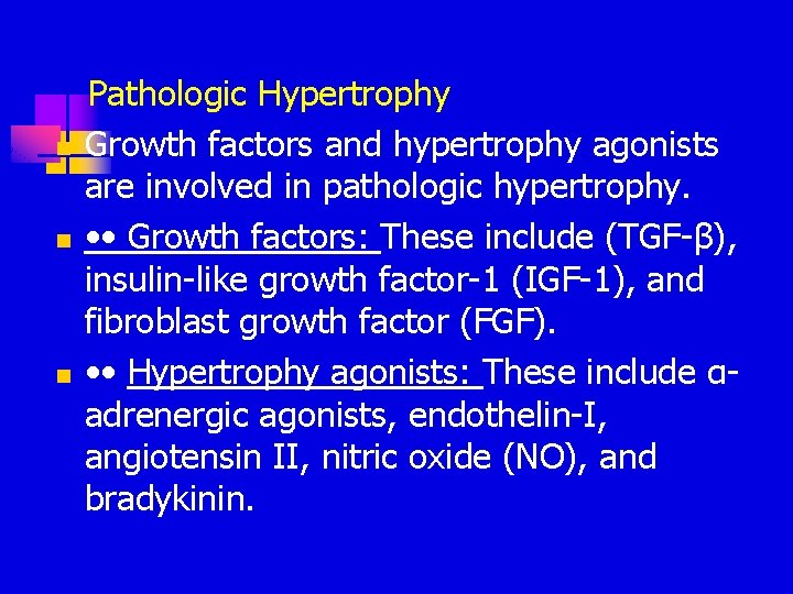 n n n Pathologic Hypertrophy Growth factors and hypertrophy agonists are involved in pathologic n n n Pathologic Hypertrophy Growth factors and hypertrophy agonists are involved in pathologic