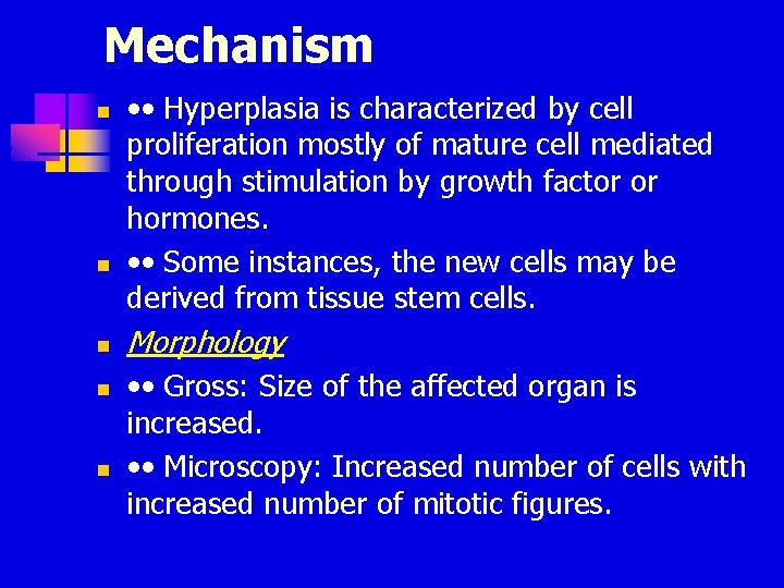 Mechanism n n n • • Hyperplasia is characterized by cell proliferation mostly of Mechanism n n n • • Hyperplasia is characterized by cell proliferation mostly of