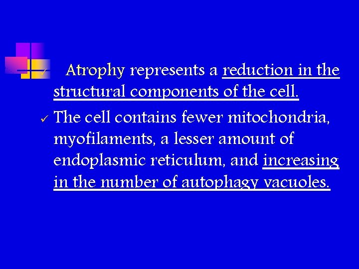 Atrophy represents a reduction in the structural components of the cell. ü The cell Atrophy represents a reduction in the structural components of the cell. ü The cell