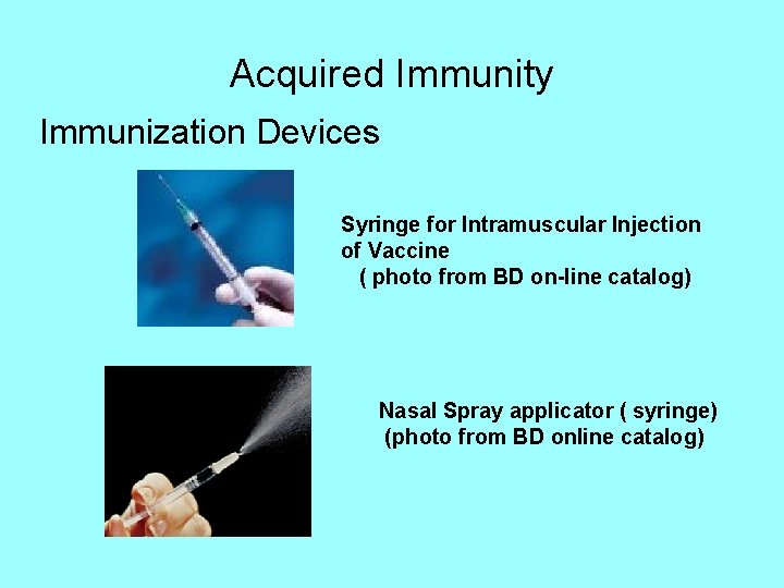 Acquired Immunity Immunization Devices Syringe for Intramuscular Injection of Vaccine ( photo from BD