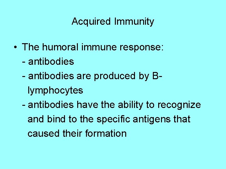 Acquired Immunity • The humoral immune response: - antibodies are produced by Blymphocytes -
