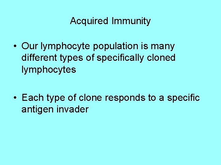 Acquired Immunity • Our lymphocyte population is many different types of specifically cloned lymphocytes