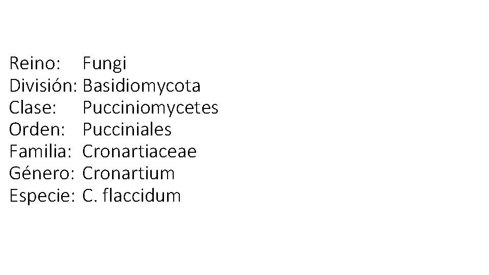 Reino: Fungi División: Basidiomycota Clase: Pucciniomycetes Orden: Pucciniales Familia: Cronartiaceae Género: Cronartium Especie: C.