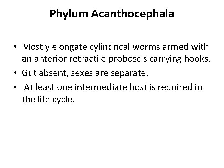 Phylum Acanthocephala • Mostly elongate cylindrical worms armed with an anterior retractile proboscis carrying