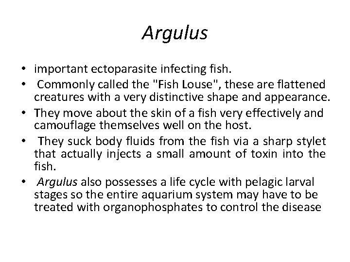 Argulus • important ectoparasite infecting fish. • Commonly called the "Fish Louse", these are