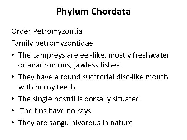 Phylum Chordata Order Petromyzontia Family petromyzontidae • The Lampreys are eel-like, mostly freshwater or