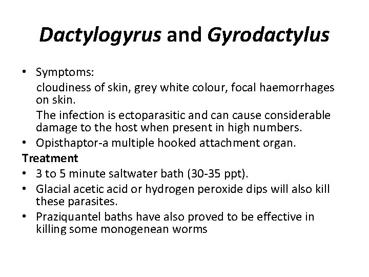 Dactylogyrus and Gyrodactylus • Symptoms: cloudiness of skin, grey white colour, focal haemorrhages on