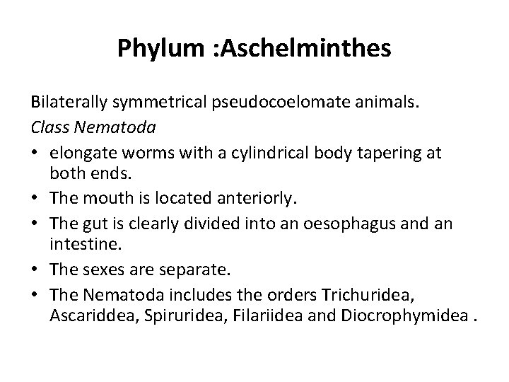 Phylum : Aschelminthes Bilaterally symmetrical pseudocoelomate animals. Class Nematoda • elongate worms with a