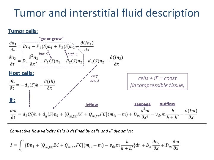 Tumor and interstitial fluid description Tumor cells: “go or grow” low S Host Tumor and interstitial fluid description Tumor cells: “go or grow” low S Host