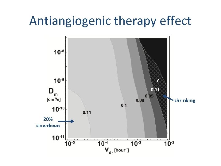 Antiangiogenic therapy effect shrinking 20% slowdown Antiangiogenic therapy effect shrinking 20% slowdown
