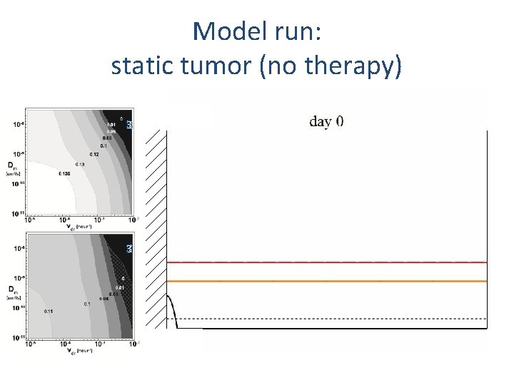 Model run: static tumor (no therapy) 3 3 Model run: static tumor (no therapy) 3 3