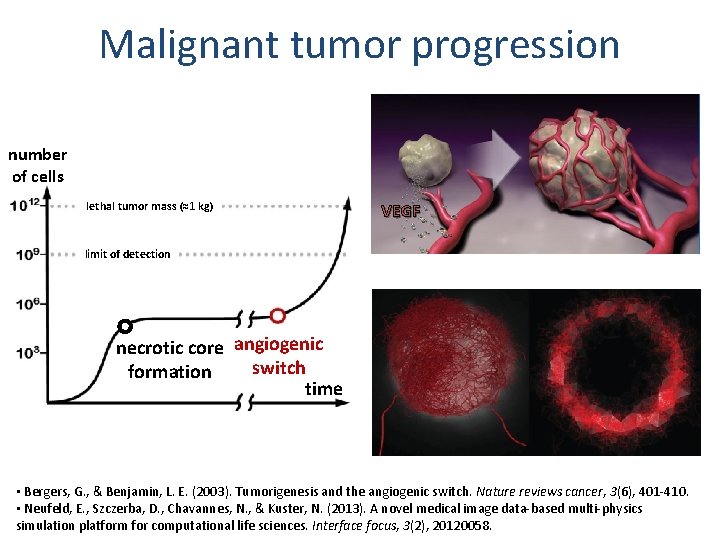 Malignant tumor progression number of cells lethal tumor mass (≈1 kg) VEGF limit of Malignant tumor progression number of cells lethal tumor mass (≈1 kg) VEGF limit of