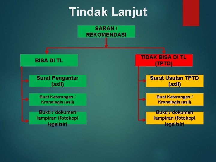 Tindak Lanjut SARAN / REKOMENDASI BISA DI TL TIDAK BISA DI TL (TPTD) Surat