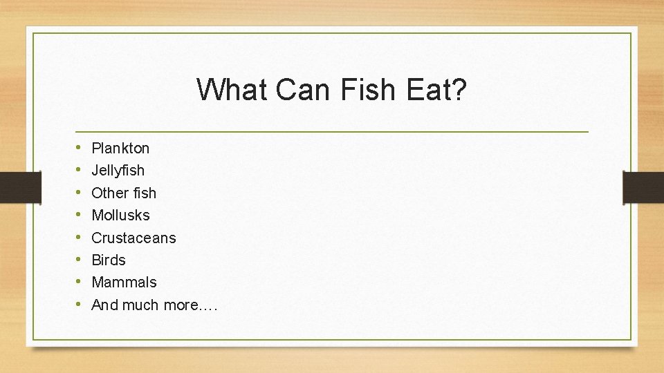 What Can Fish Eat? • • Plankton Jellyfish Other fish Mollusks Crustaceans Birds Mammals