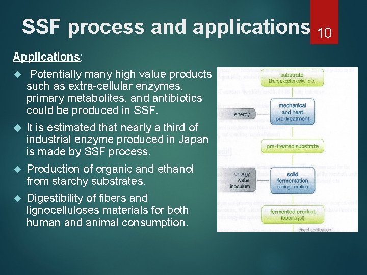 SSF process and applications 10 Applications: Potentially many high value products such as extra-cellular