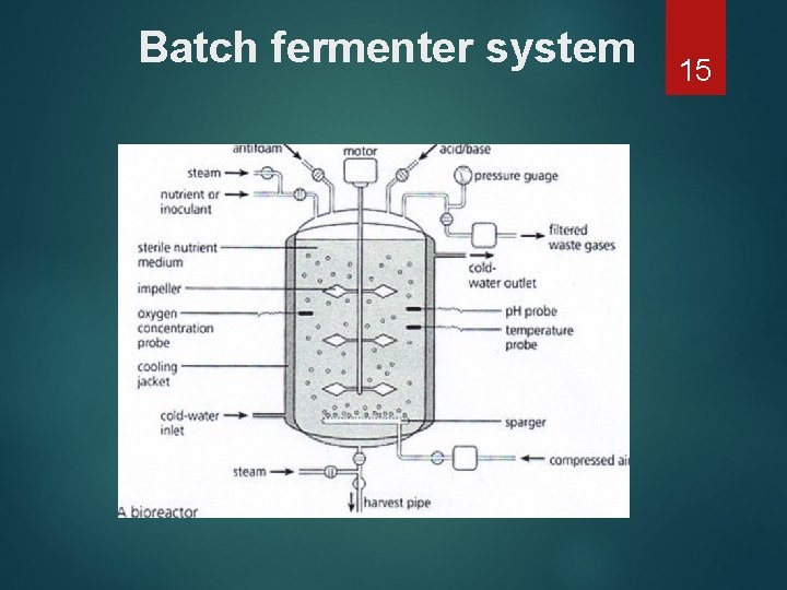Batch fermenter system 15 