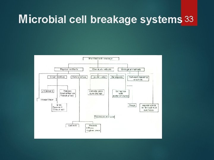 Microbial cell breakage systems 33 