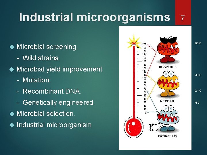 Industrial microorganisms Microbial screening. 7 93 C - Wild strains. Microbial yield improvement -