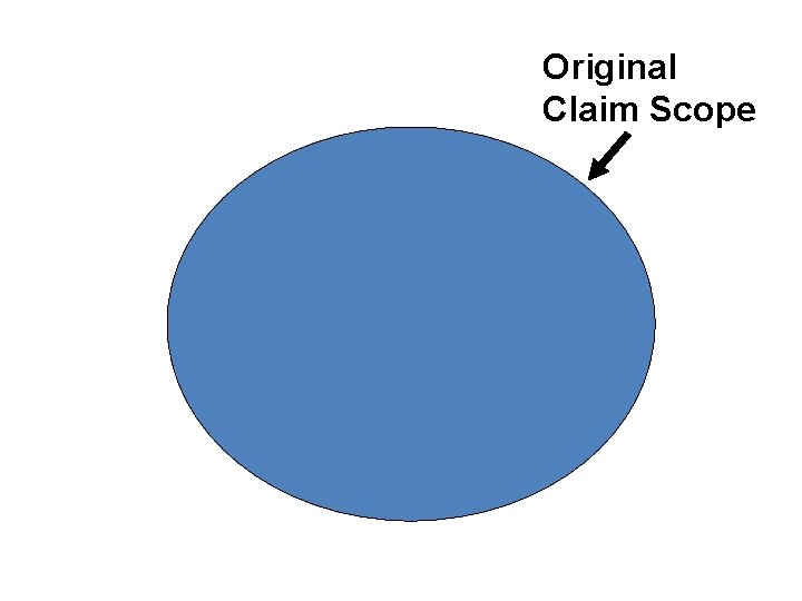 Original Claim Scope 