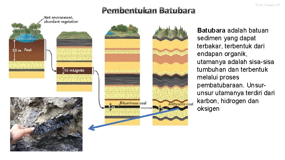 Pembentukan Batubara © edi hidayat, LIPI Batubara adalah batuan sedimen yang dapat terbakar, terbentuk