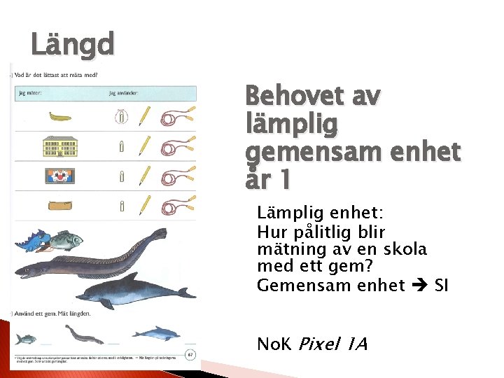 Längd Behovet av lämplig gemensam enhet år 1 Lämplig enhet: Hur pålitlig blir mätning