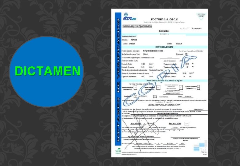 DICTAMEN DICTAMEN