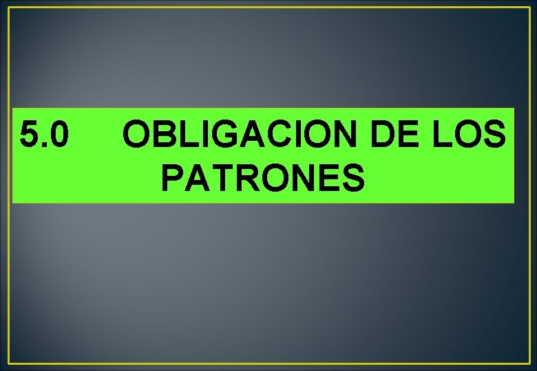 5. 0 OBLIGACION DE LOS PATRONES 5. 0 OBLIGACION DE LOS PATRONES