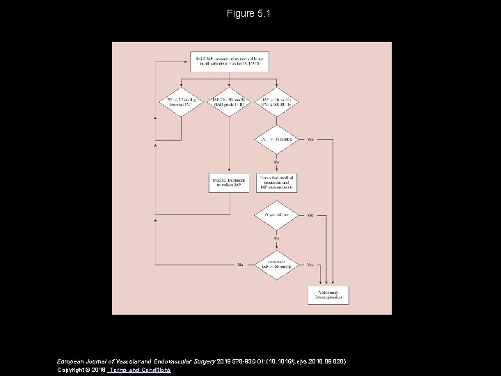 Figure 5. 1 European Journal of Vascular and Endovascular Surgery 2019 578 -93 DOI: