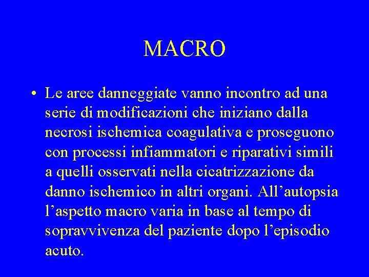 MACRO • Le aree danneggiate vanno incontro ad una serie di modificazioni che iniziano