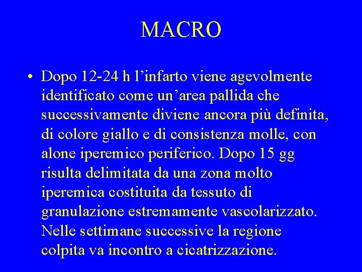 MACRO • Dopo 12 -24 h l’infarto viene agevolmente identificato come un’area pallida che